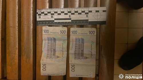 У Рівненському районі поліцейські оперативно викрили причетного до крадіжки зловмисника