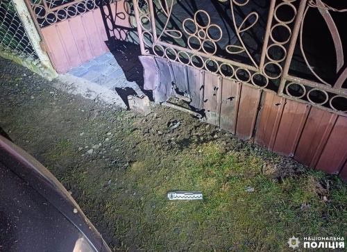 На Рівненщині біля будинку посадовця кинули дві гранати
