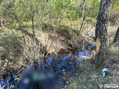 У Сарненському районі загинув мотоцикліст: поліцейські встановлюють обставини ДТП У Сарненському районі загинув мотоцикліст: поліцейські встановлюють обставини ДТП
