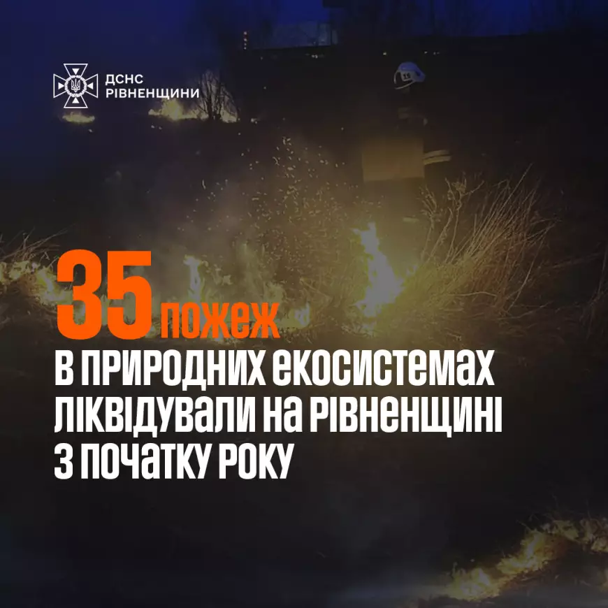35 пожеж в природних екосистемах ліквідували рятувальники Рівненщини з початку року