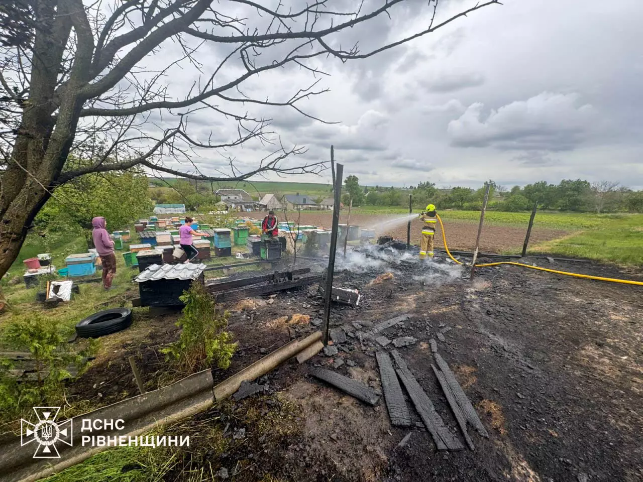 Пожежа у селі Дерев’яне: вогнем знищено вулики Пожежа у селі Дерев’яне: вогнем знищено вулики