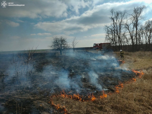 На Рівненщині з початку року вже зафіксовано 929 випадків загорянь у природних екосистемах
