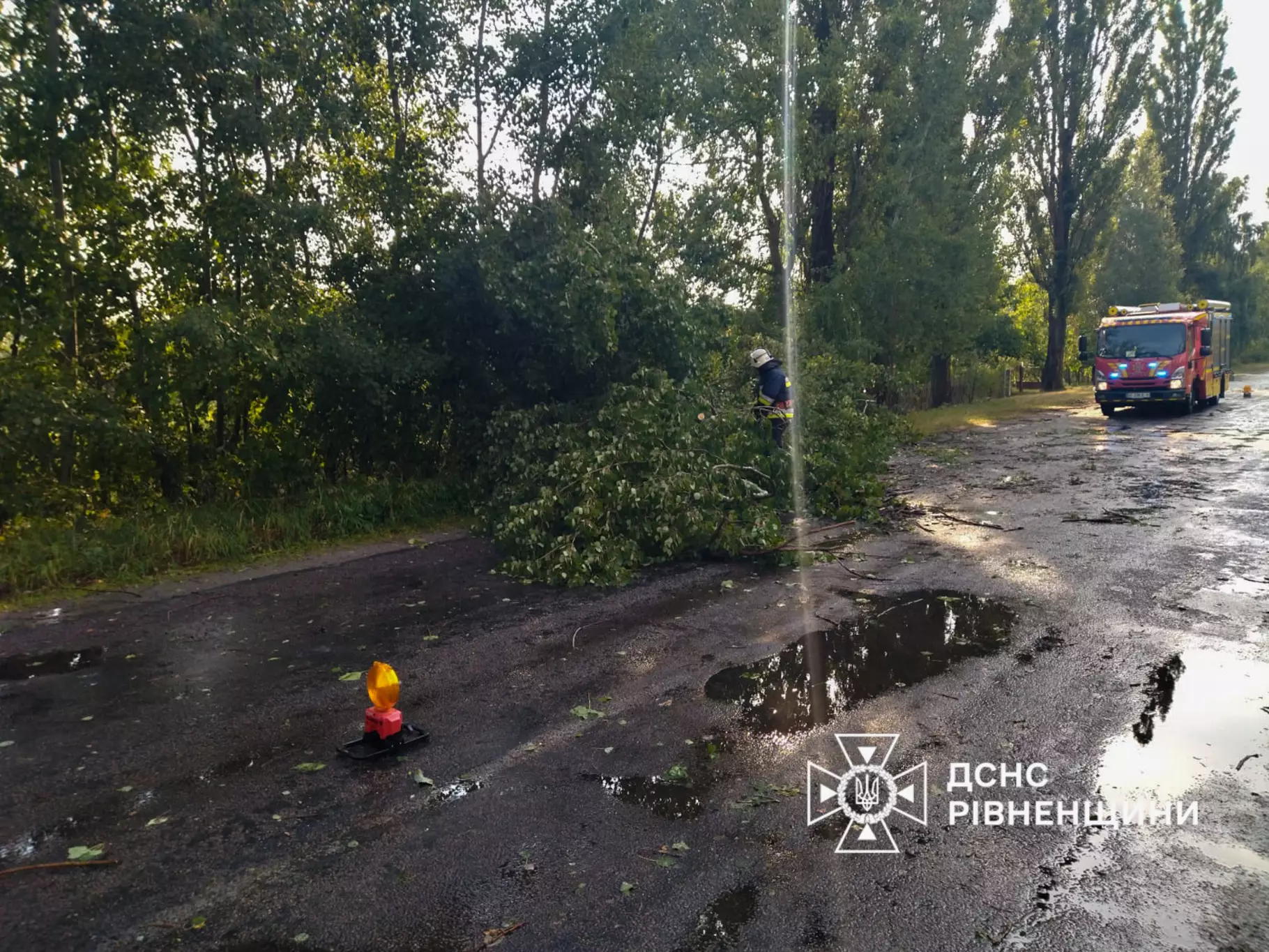 Наслідки негоди: рятувальники ліквідували наслідки буревію та гасили пожежі у Вараському, Сарненському та Дубенському районах