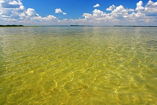 Нещасний випадок на водоймі на Рівненщині