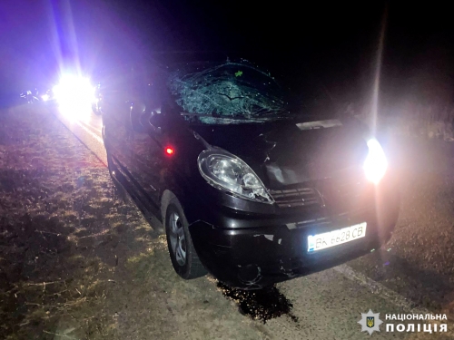 На Сарненщині під колесами авто загинув пішохід
