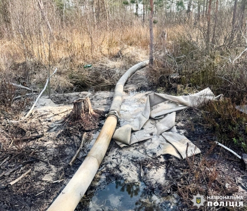 Незаконно видобували бурштин: на Рівненщині поліцейські викрили злочинну групу