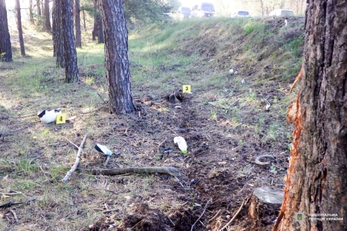 У Сарненському районі внаслідок ДТП загинули двоє неповнолітніх